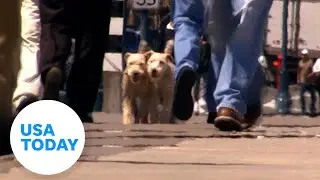 Five hottest cities in U.S. as extreme heatwave impacts millions | USA TODAY