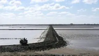 Narrow Gauge Trams Traveling Across the North Sea