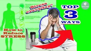 Top 3 Ways How To Reduce Everyday Stress