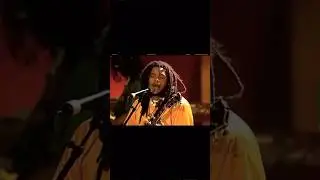 Ziggy Marley-Postman🦁#reggae #ziggymarley #bobmarley #jamaica #music #africa #peace #positivity ❤️