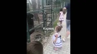 карма