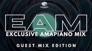 EXCLUSIVE AMAPIANO MIX 2025 | Guest Mix Edition | Djy Mzeekay
