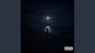 Moonlight Ghost (feat. SheHateAce & Nidas)