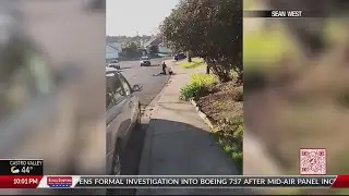 American Canyon police shoot suspect after chase