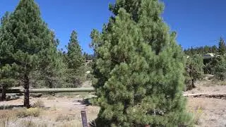 Geothermal Powerplant Mammoth Lakes