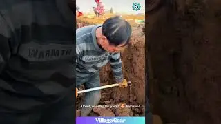 Real Life Yam Excavation!⛏️ That Careful Dig is Oddly Satisfying! #oddlysatisfying #asmr #farming