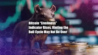 Bitcoin &ldquo;Liveliness&rdquo; Indicator Rises, Hinting the Bull Cycle May