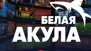 513000 ДАН WESTERN SLOT ДАН 700000 МИНГА КУТАРДИМ 😍😍😍