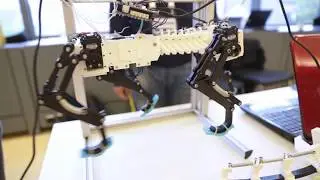 ERW2017 -  Education Robotics: Bio Inspired