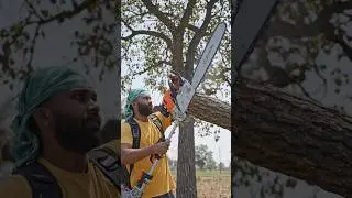 Powerful Stroke Back Pack Crop Cutter with Chainsaw Attachment