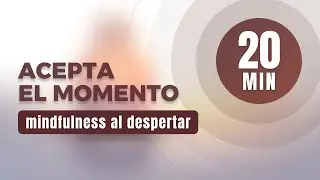 Abandona la lucha &bull; Meditaci&oacute;n de la ma&ntilde;ana (20 min)