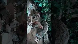 Tutlabhawani waterfall Rohtas Bihar