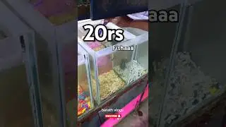 🤯20Rs guppy vanga polama 🤠 #trendingshorts #fish #shortsfeed #viralshorts