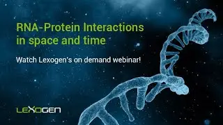 LEXOGEN TALK: RNA-Protein interactions in space and time