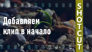 10. Shotcut. Add a clip to the beginning.