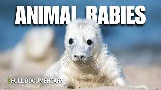 The Cutest Baby Animals | Full Nature Documentary