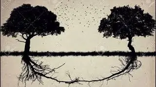 CĂTĂLIN STEPA  - Copaci fără pădure