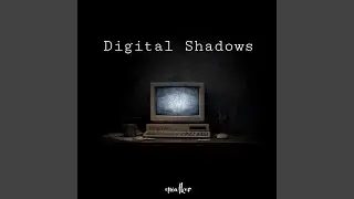 Digital Shadows