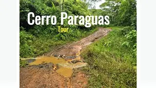Cerro Paraguas donde mas llueve en Coto Brus