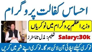 Pakistan Bait Ul Maal Jobs 2021-Apply Free