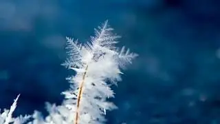 Morning Meditation ✨ 963 Hz Enlightenment Crown Chakra Frequency White Noise on a Snowy Day 🌙