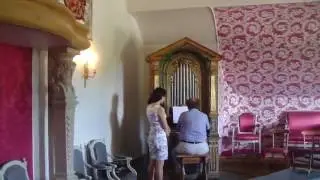 Domenico Scarlatti:  Organ Sonata K 287