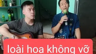 Loài Hoa không vỡ | bolero ghita