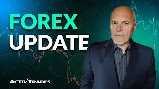Forex Update