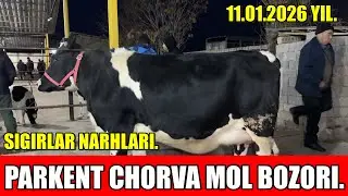 TOSHKENT VIL, PARKENT TUMANI, BOYQOZON QO&rsquo;RG&rsquo;ONI, CHORVA MOL BOZORI,SIGIRLAR NARHLARI.