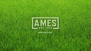 Ames Specialty Tools