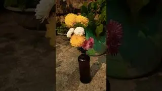 #guldaudi #guldaudiflower  #flower #winterflower #gardening #wintergardening #sheetmusic #sheetlahar