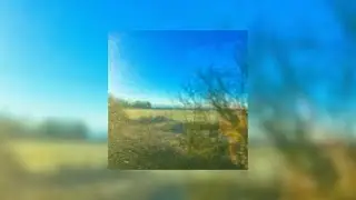 anthaal - ismokedawaymybrain (sped up + reverb)