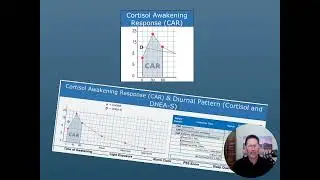 Chronic Stress and the Cortisol Awakening Response
