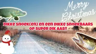 Dikke snoek(en) en een dikke snoekbaars op super dik aas!! S2#ep23 