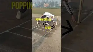 The Importance Of Cricket Pitch Creases. #shorts #cricket