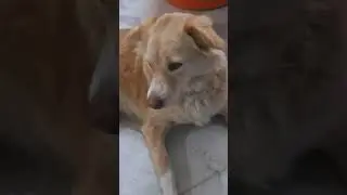 Prince is a rowdy kid 🤣.. #cute
