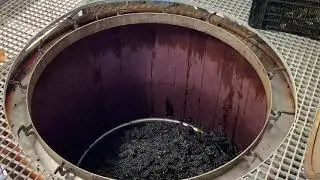 Creation Wines - Harvest 2020