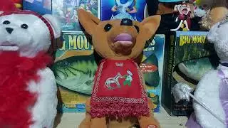 PBC international Pancho The Chihuahua (Repaired)
