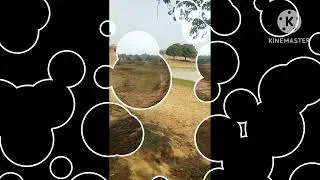 Mere gaon ka talab
