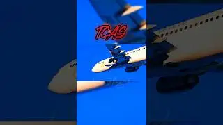 TCAS - Terrible Crash At Sky | #tcas #trafficcollision #crash #disaster #xh #short #aviation #plane