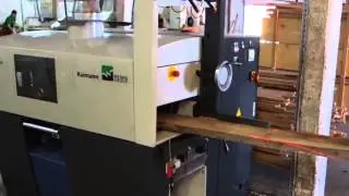 RAIMANN PROFIRIP KM 310 (H&ouml;chsmann Klipphausen)