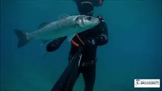 Spearfishing Croatia-Neo Carbone-Episode 16: