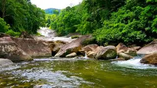 Beautiful Stream flows from Waterfall, Stream Sounds, Flowing Water, White Noise to Sleep or Relax.