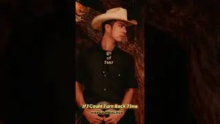 If I Could Turn Back Time- music ai #newmusic #funny