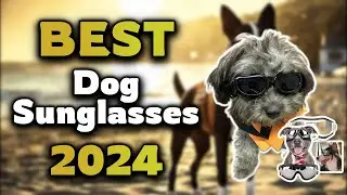 Top Best Dog Sunglasses in 2024 & Buying Guide - Must Watch Before Buying!