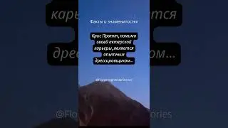 Факт о Крисе Пратте #facts #interesting #quotes #интересно #познавательный #факты #цитаты #цитаты