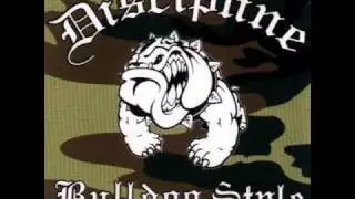 Discipline - The Last Of The Hippies