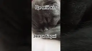 це мій кіт #рекомендации #мяумяу #анимация #фалли
