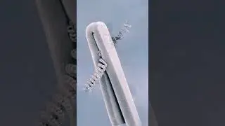 Everyday Objects in Macro oddly satisfying / BEST MACRO REVERSE VIDEO