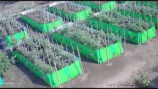 HDPE Agro Vermi Compost Bed Heavy And UV Stabilized Material, Long Lasting Material 12 x 4 x 2